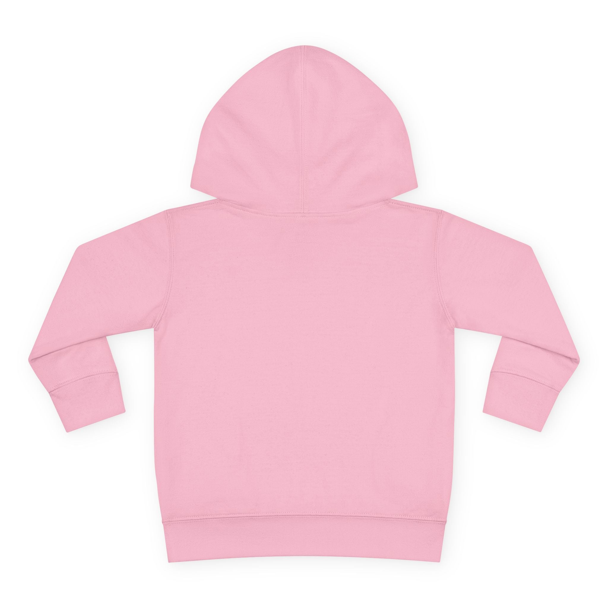 Toddler Fleece Hoodie - "Daisy the Famous Dachshund"