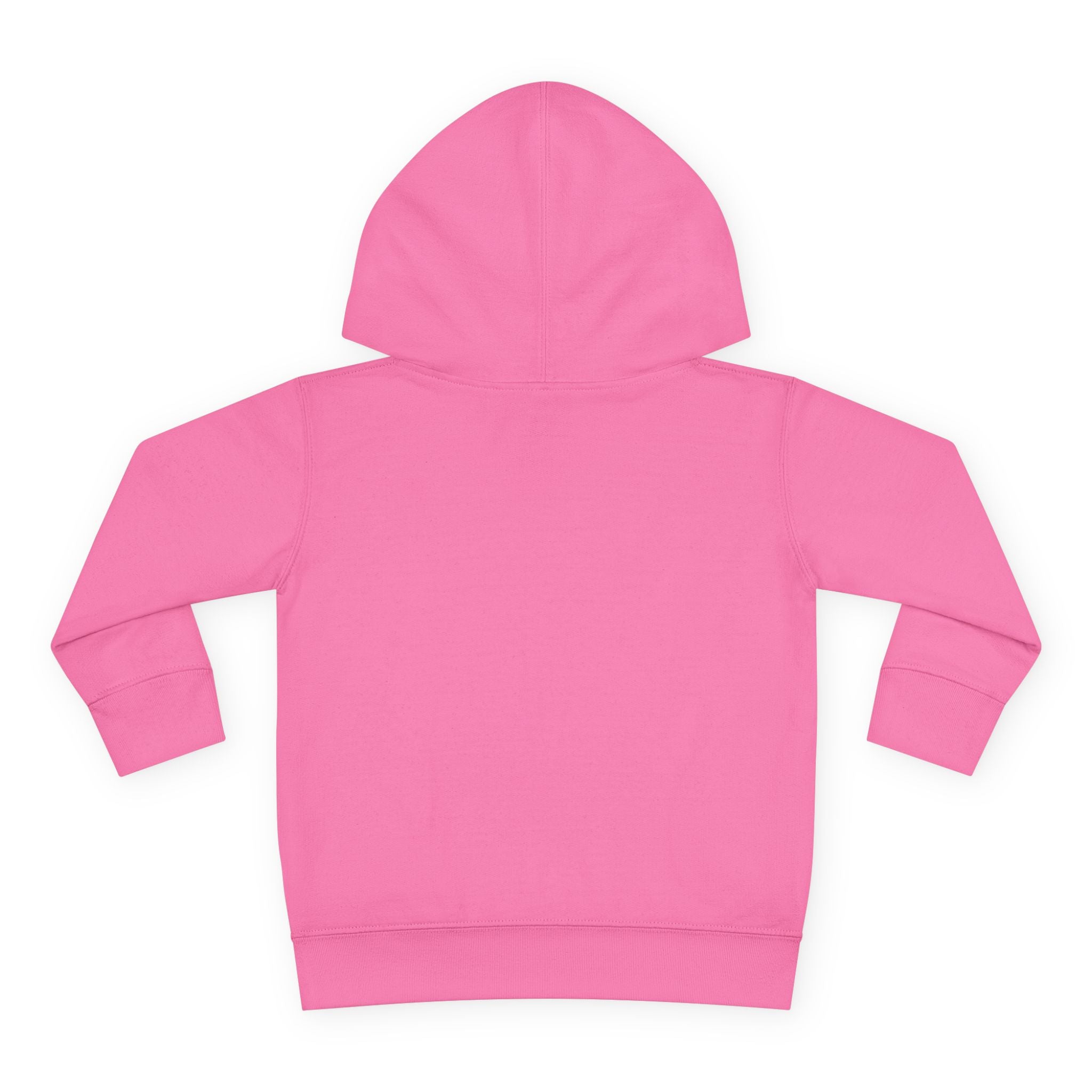 Toddler Fleece Hoodie - "Daisy the Famous Dachshund"