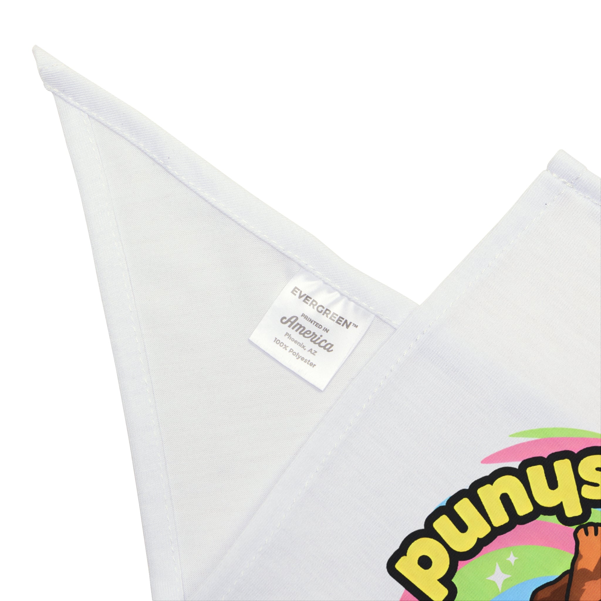 Pet Bandana of TikTok Star- 'Daisy the Famous Dachshund"